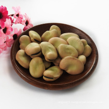 Chinese broad beans Qinghai Origin english bean